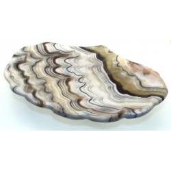 Mexican Onyx Scalloped Altar Dish 09